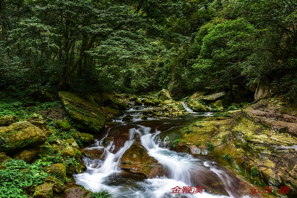 Golden Whip Stream valley route for Zhangjiajie National Forest Park travel