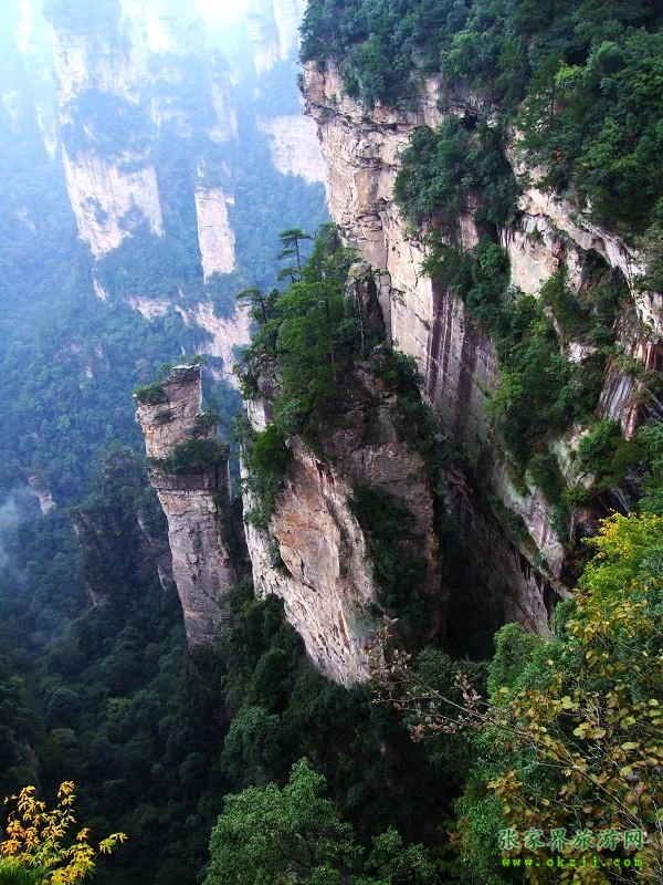 Yangjiajie mountain area in Zhangjiajie National Forest Park
