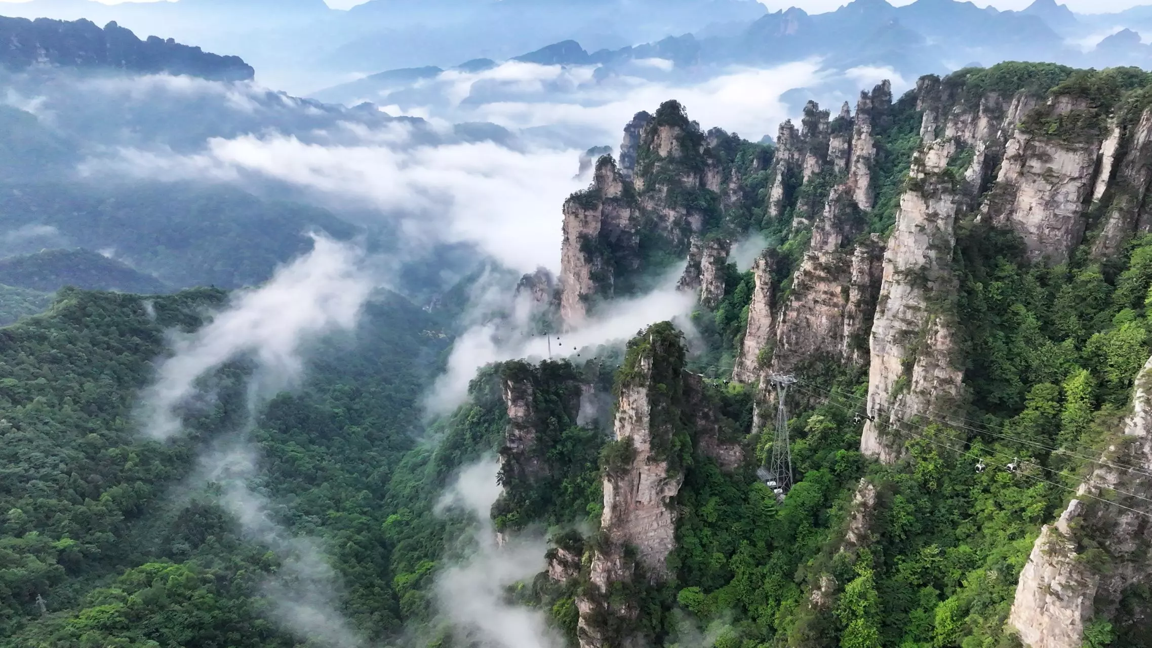 best time to visit zhangjiajie in spring with misty mountain peaks and fresh green forest views