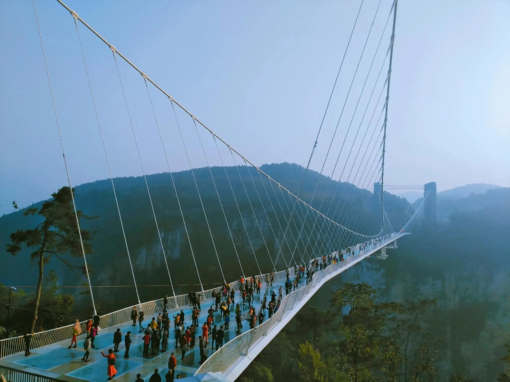 Zhangjiajie Grand Canyon Glass Bridge travel route and walking comfort