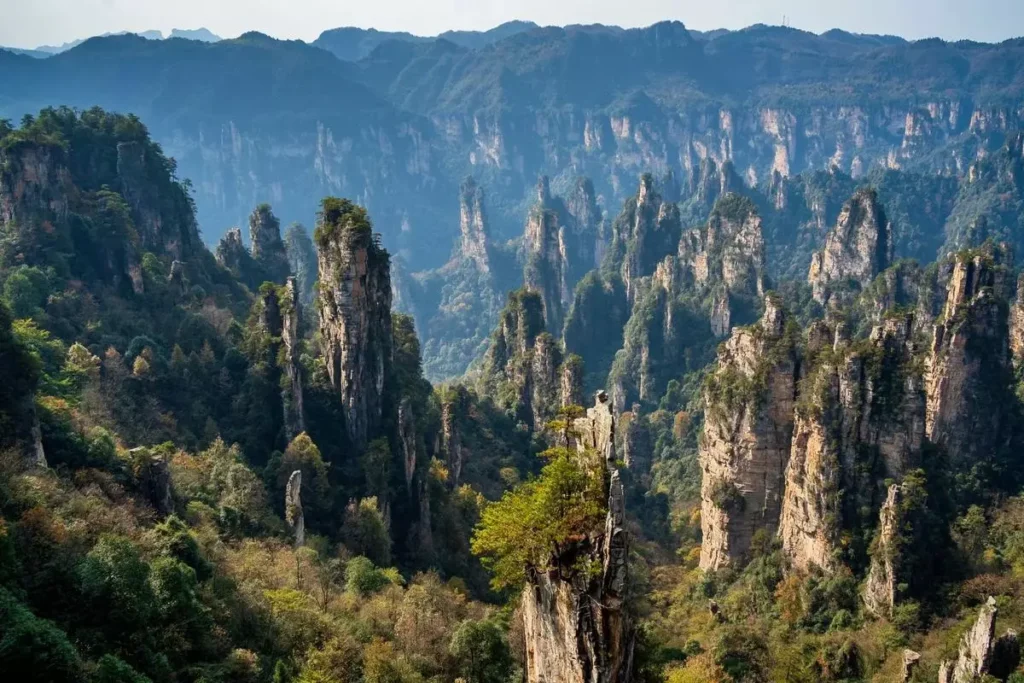 zhangjiajie mountains with sandstone pillar forest in Zhangjiajie National Forest Park