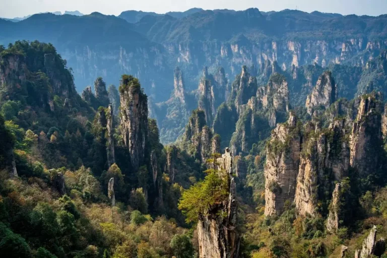 zhangjiajie mountains with sandstone pillar forest in Zhangjiajie National Forest Park
