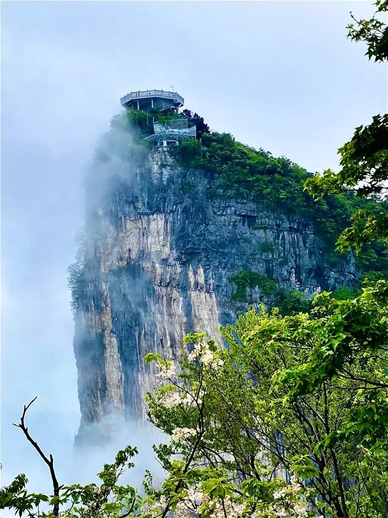 Tianmen Mountain cliff viewpoint and transport planning for Muslim travelers