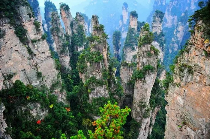 zhangjiajie Muslim Travel Guide for Zhangjiajie National Forest Park peak forest route