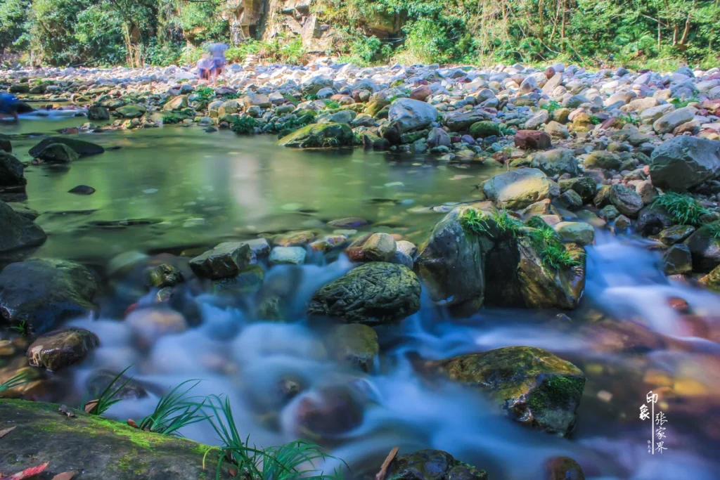 zhangjiajie national forest park tour through Golden Whip Stream forest and clear water