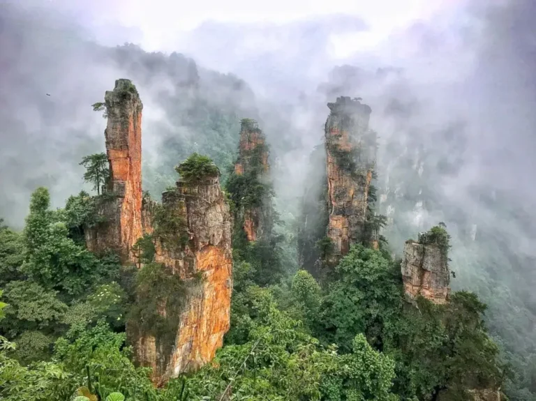 zhangjiajie national forest park tour showing misty sandstone peaks in Zhangjiajie