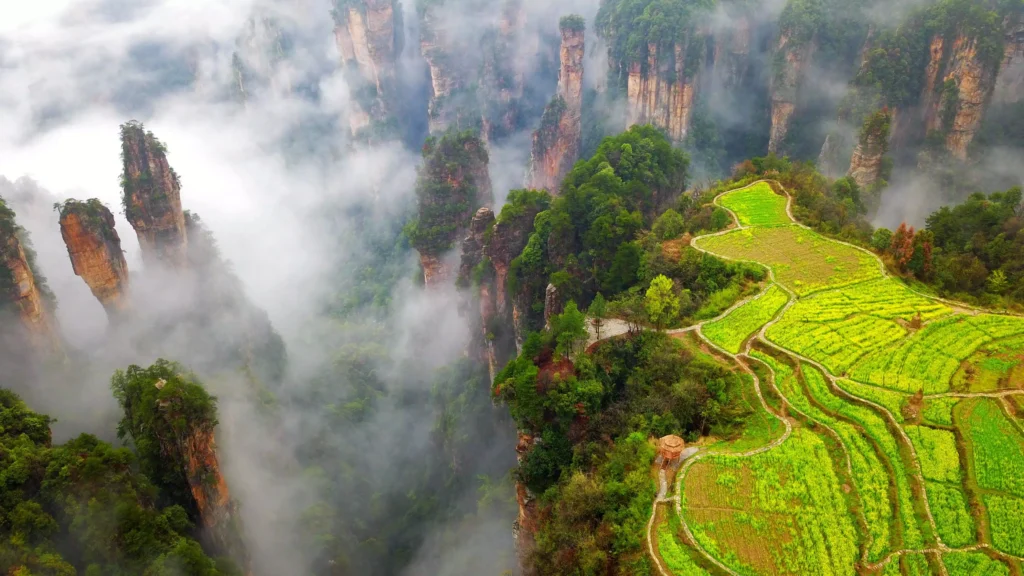 zhangjiajie wulingyuan misty peak forest with green terrace fields and scenic mountain routes