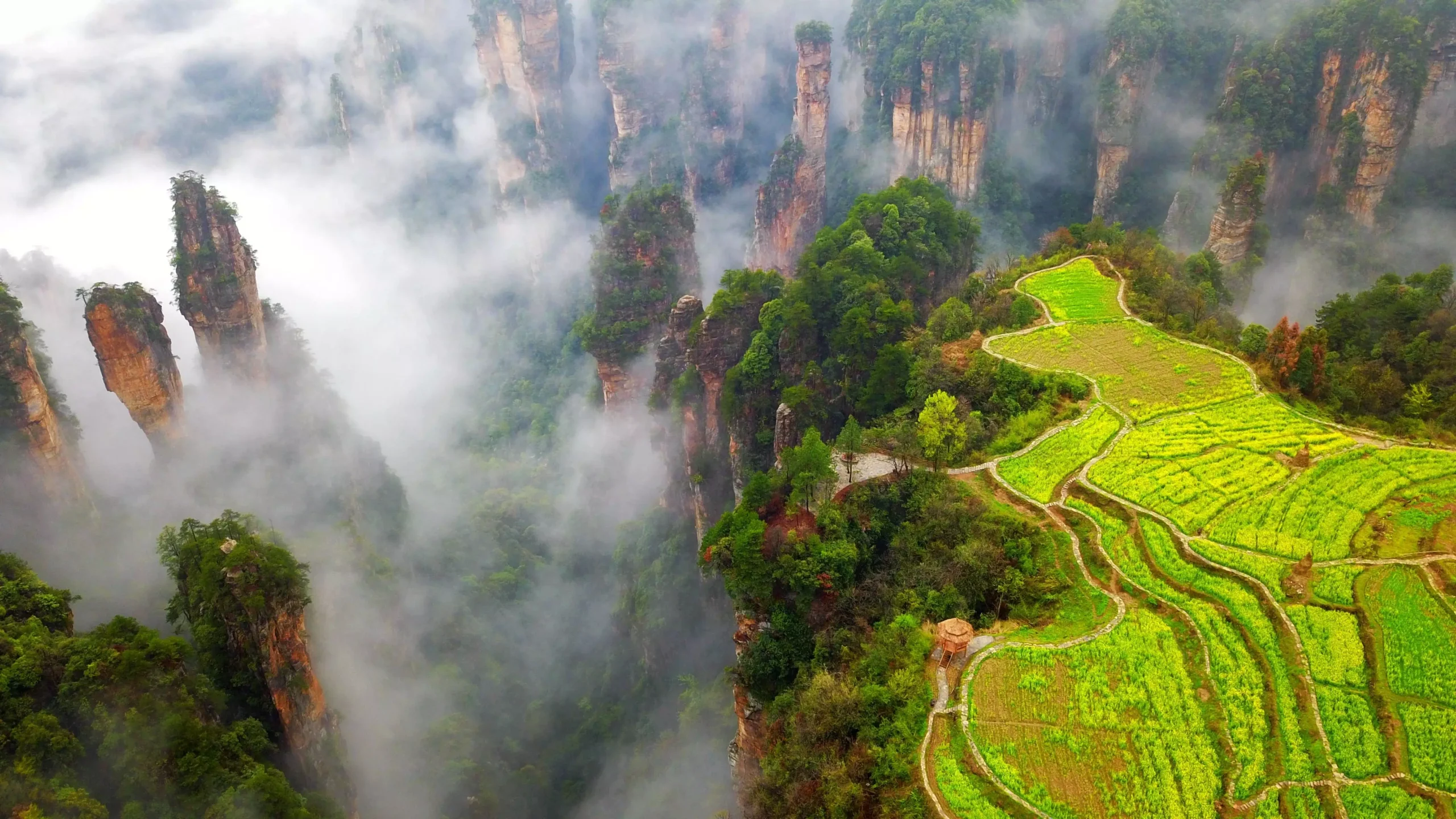 Zhangjiajie Wulingyuan: Muslim-Friendly Guide for Scenic Routes, Food and Tickets