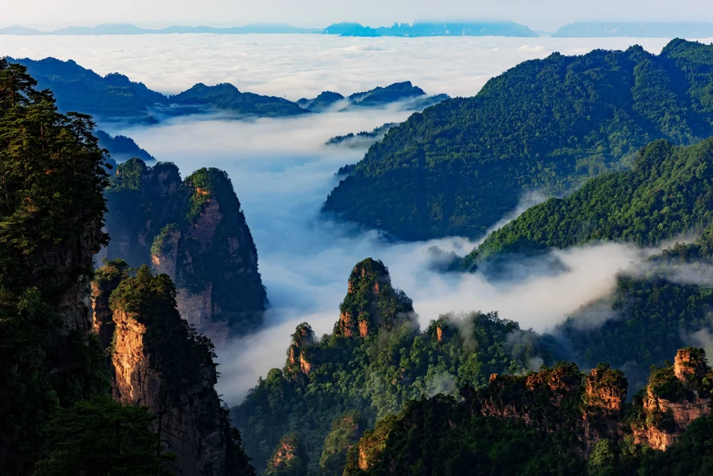 zhangjiajie wulingyuan sea of clouds over sandstone peaks and forested mountains