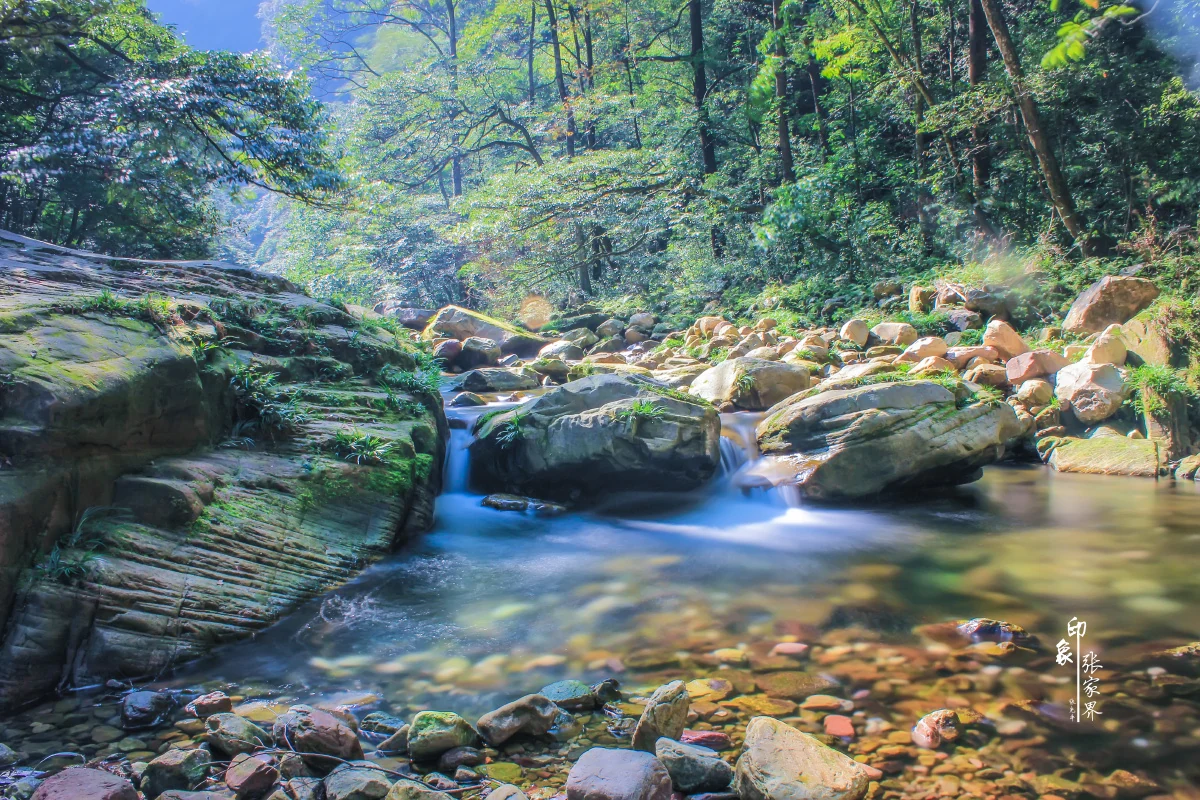 golden whip stream zhangjiajie clear forest creek with rocks and soft flowing water