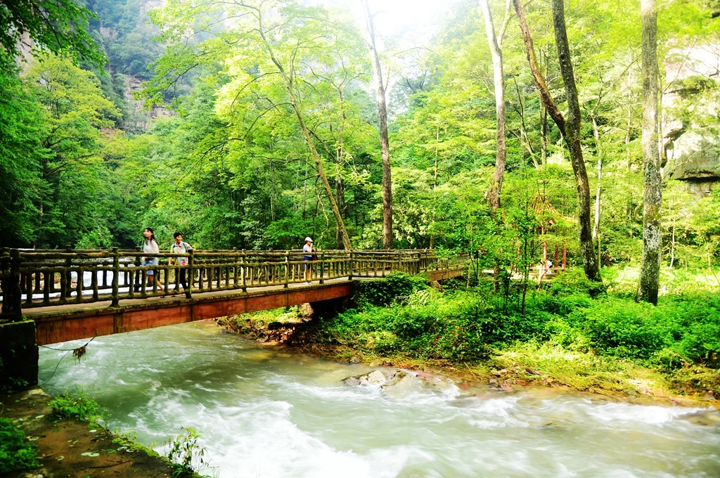 Golden Whip Stream Zhangjiajie: 7 Smart Tips