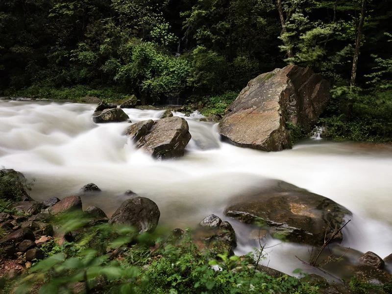 golden whip stream zhangjiajie rapids flowing around rocks in a shaded forest valley