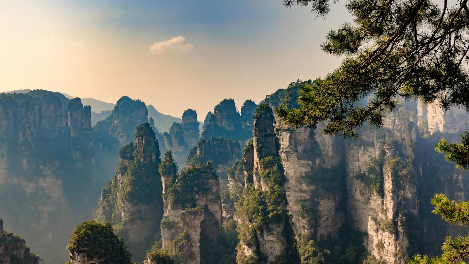 Halal Food in Zhangjiajie: How Muslim Travelers Can Plan Meals Around the Scenic Areas