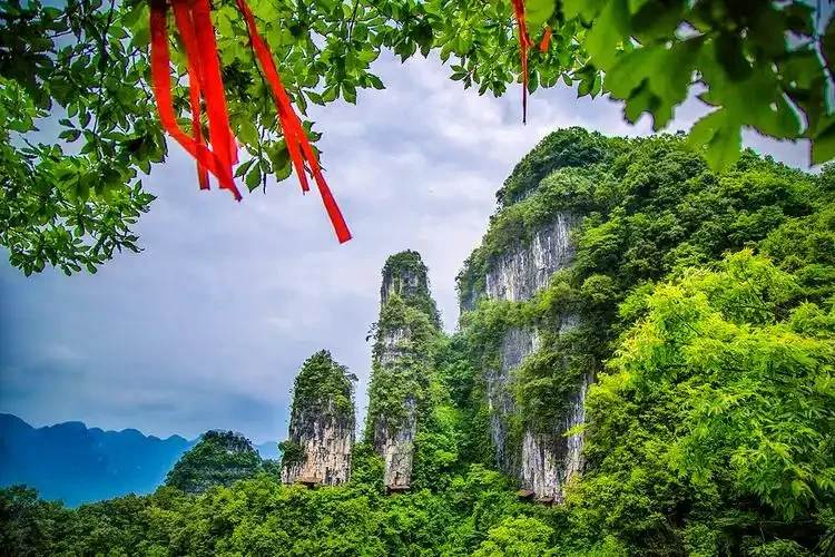 zhangjiajie in summer green sandstone peaks and forest scenery for route planning