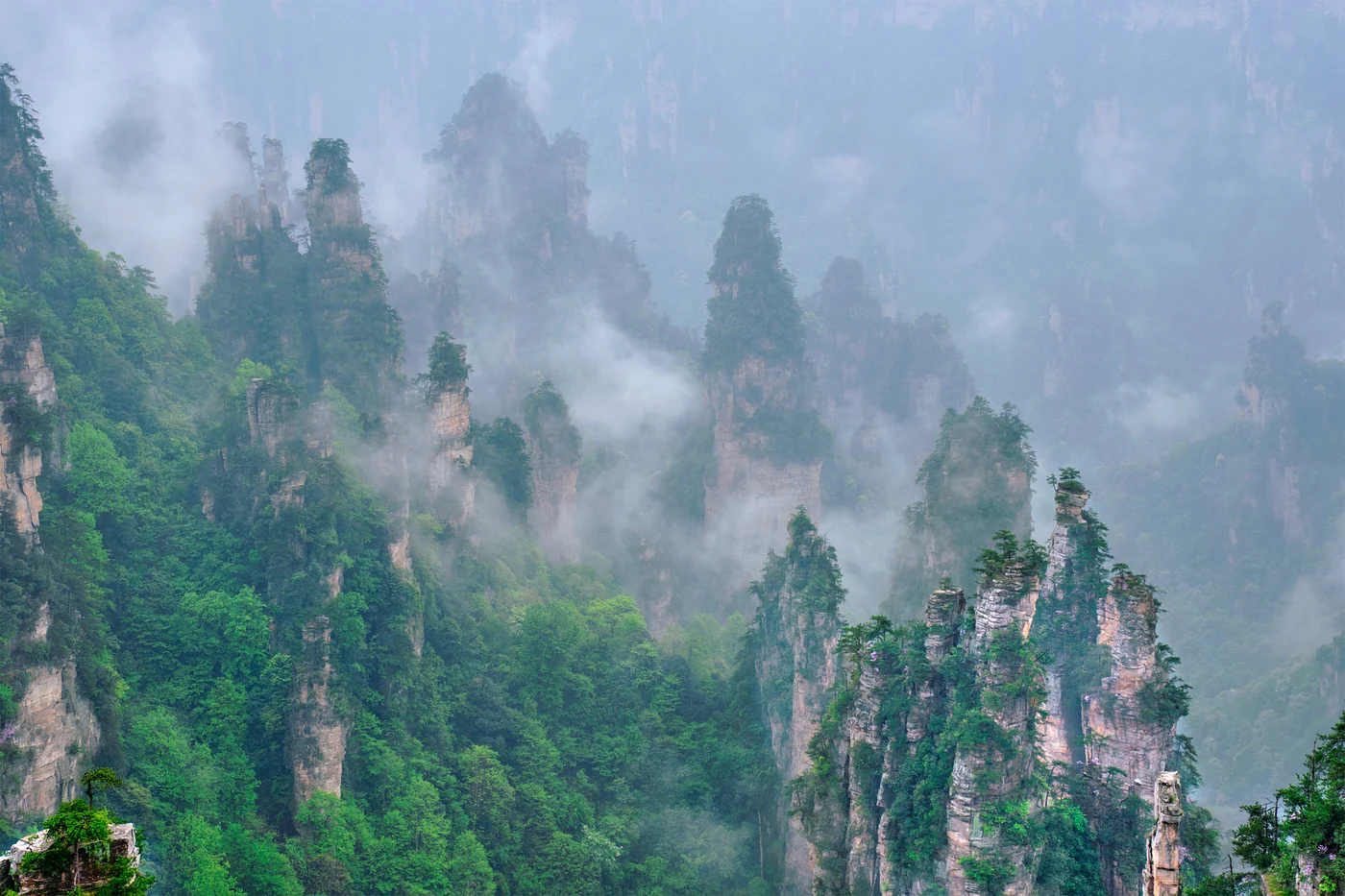 zhangjiajie in summer mist over Zhangjiajie National Forest Park sandstone pillars