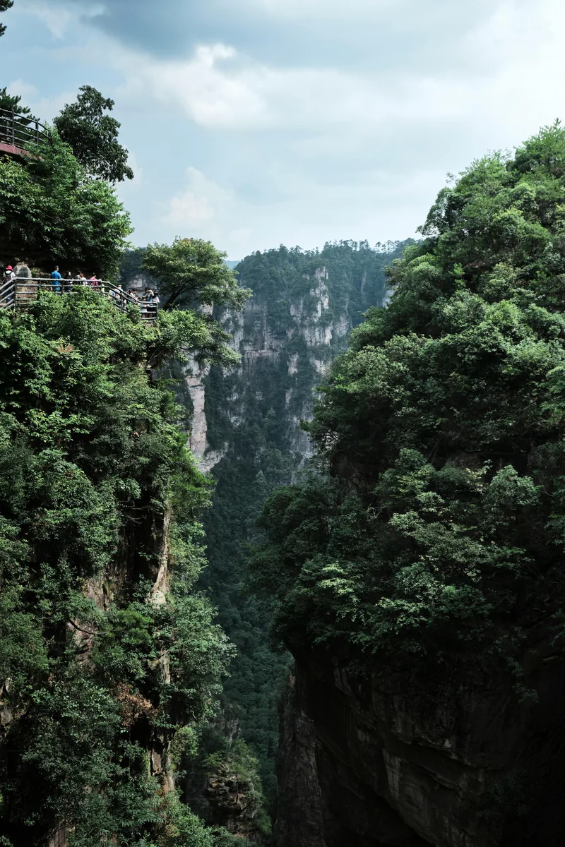 zhangjiajie itinerary forested gorge scenery with visitors at a Zhangjiajie viewpoint