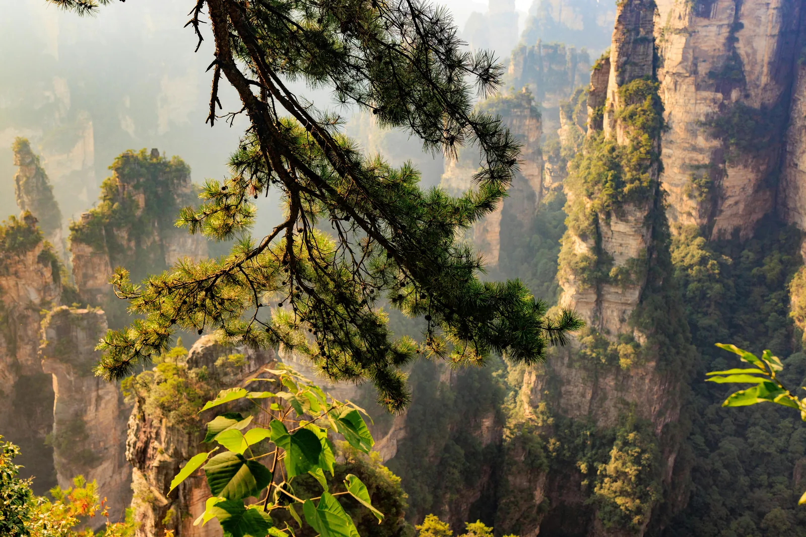 zhangjiajie itinerary forest park mountain scenery for the main Zhangjiajie National Forest Park day