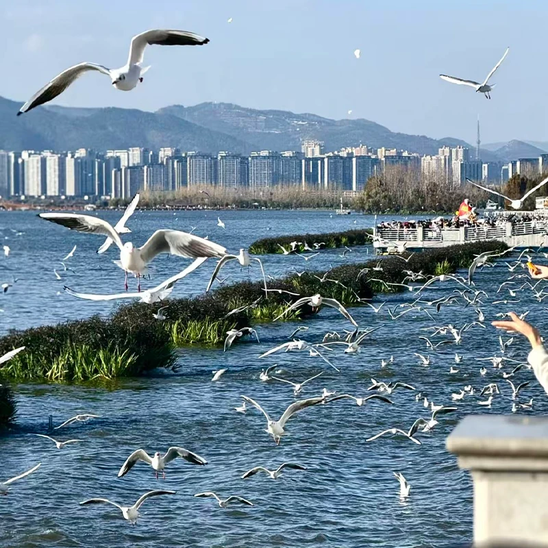 Dianchi Lake waterfront at Haigeng Park in Kunming