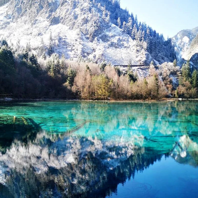 Turquoise lakes and forested slopes in Jiuzhaigou National Park