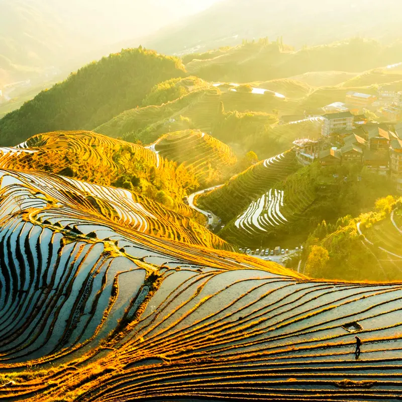 Layered Longji Rice Terraces on the mountainside north of Guilin