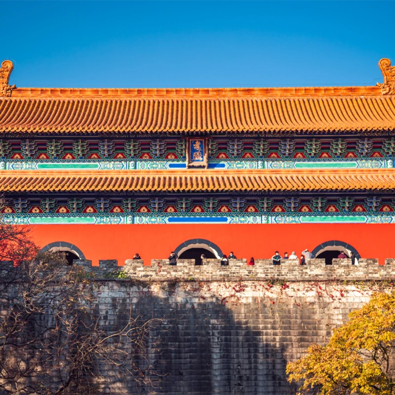 Stone elephants on the Sacred Way at Ming Xiaoling Mausoleum in Nanjing