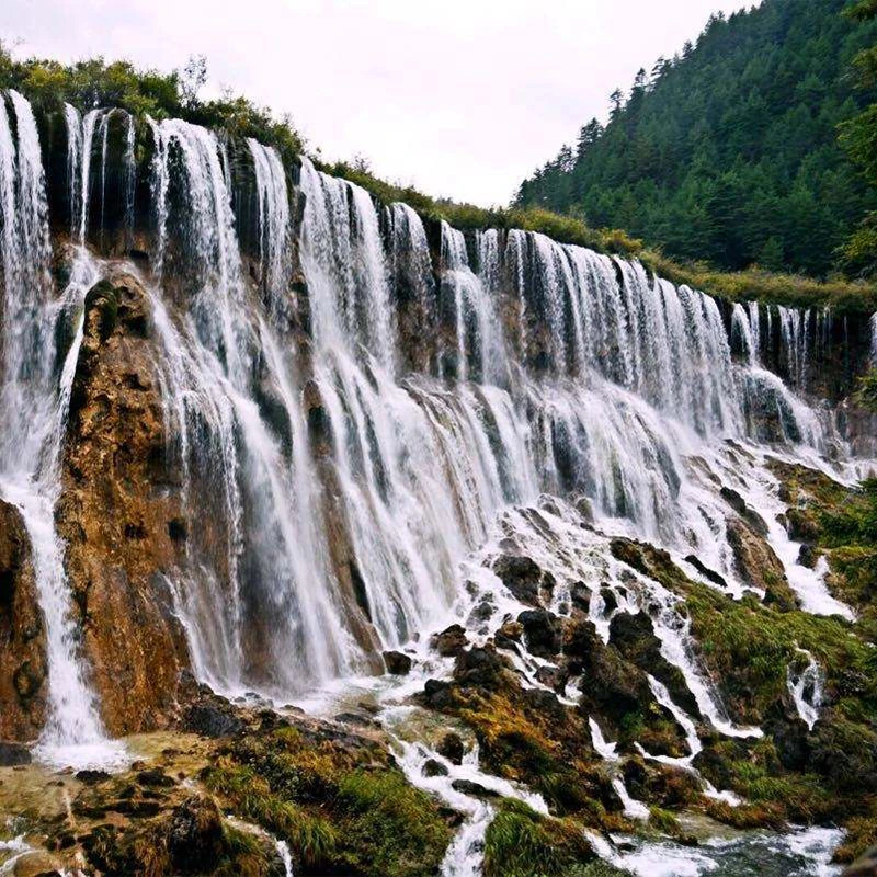 Nuorilang Waterfall's wide travertine curtain in Jiuzhaigou