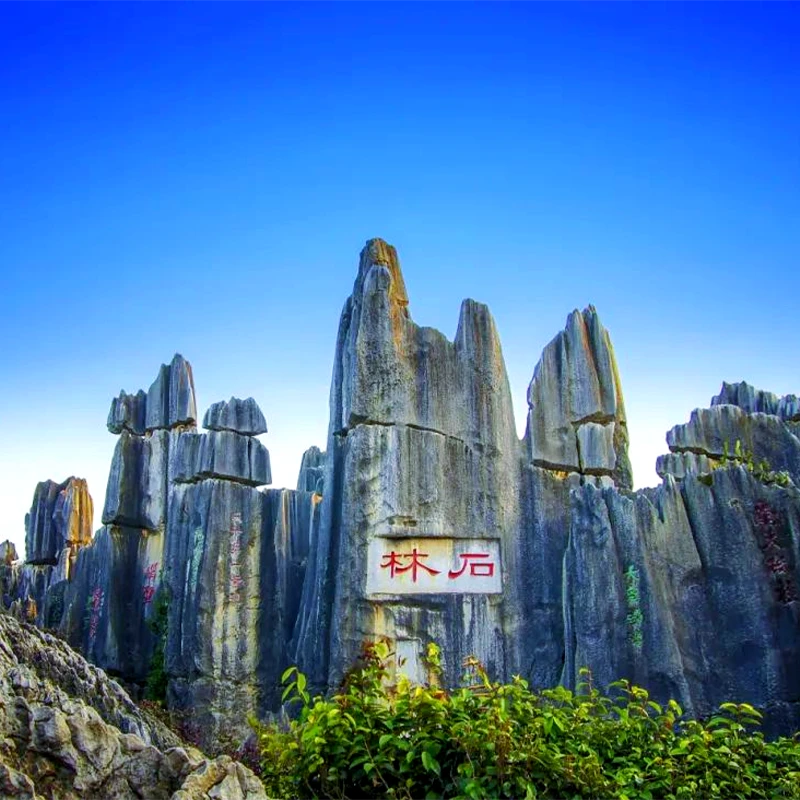 Limestone karst pinnacles at the Stone Forest Scenic Area near Kunming