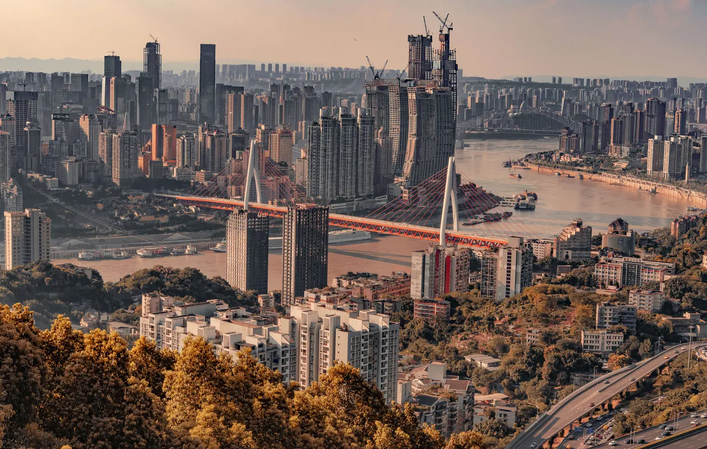 Chongqing skyline and the Yangtze River in warm autumn light, with golden foliage in the foreground