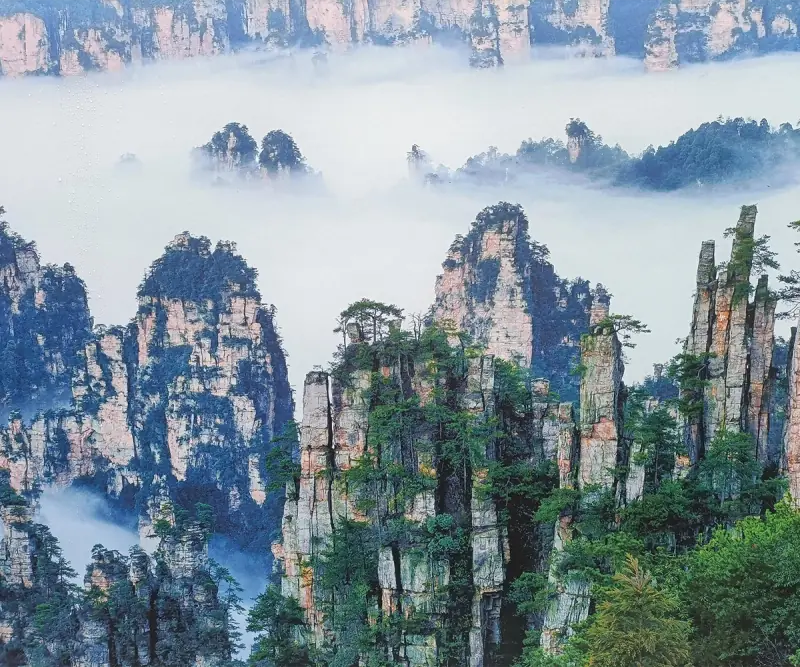 Mist-covered sandstone pillars and forested peaks in Zhangjiajie