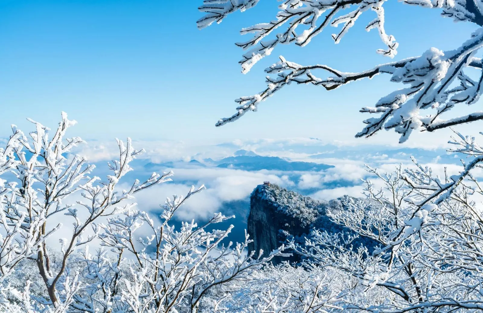 Rime ice and snow on branches framing a mountain viewpoint above a sea of clouds on a clear winter day in Zhangjiajie