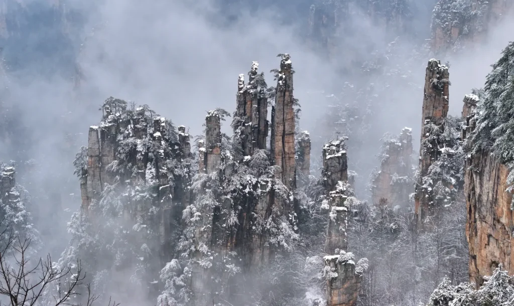 Zhangjiajie sandstone pillars covered in snow rising through winter mist